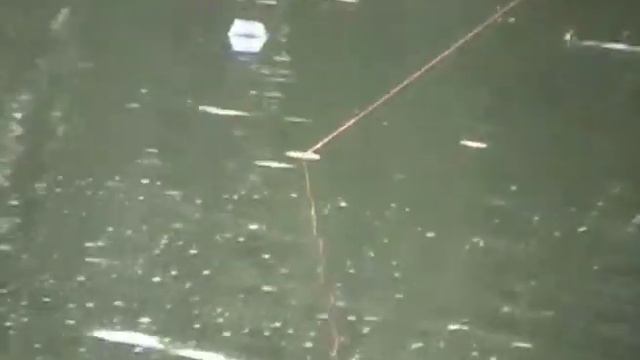 Ловля сома. Снасть с буйком. euro-som.de смотреть онлайн