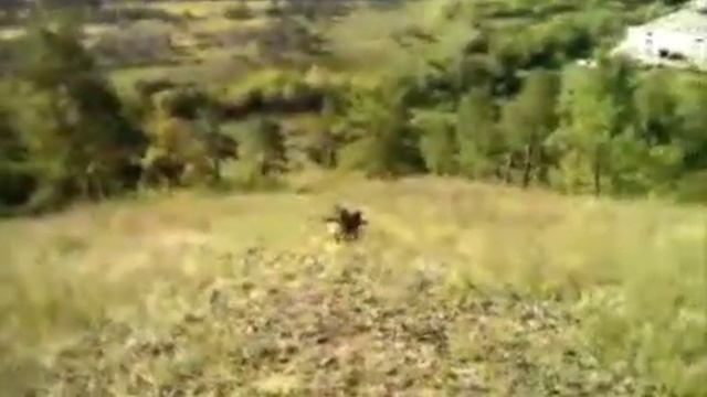Зверская тренировка Разминка смотреть онлайн