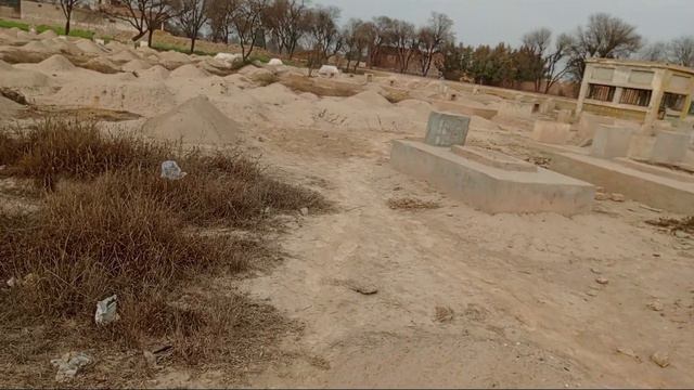 Qabar Ka azaab Qabirstian ki heart angaiz Video| Murdo ko khany wala janwar#qabar by Hafiz Nabeel смотреть онлайн