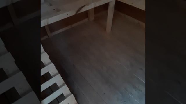 Курятники в Тольятти