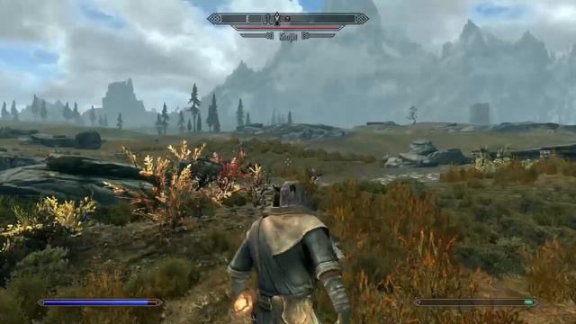 "When A Khajit Knows Karate......" смотреть онлайн