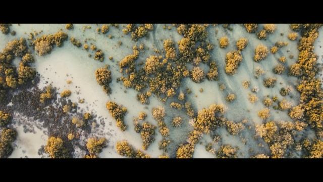 Abu Dhabi│Al Jubail Island смотреть онлайн