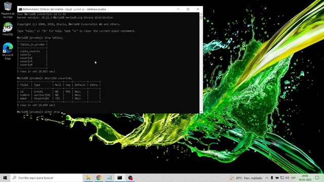 ALTER TABLE DROP COLUMN Mariadb/Mysql смотреть онлайн