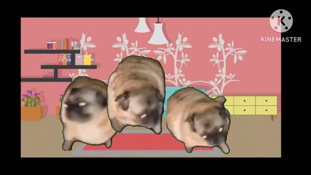 Мем. хз как называется, допустим мопсики, Ч.О смотреть онлайн