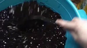 ГРУНТ #АГРИКОЛА. Обзор.