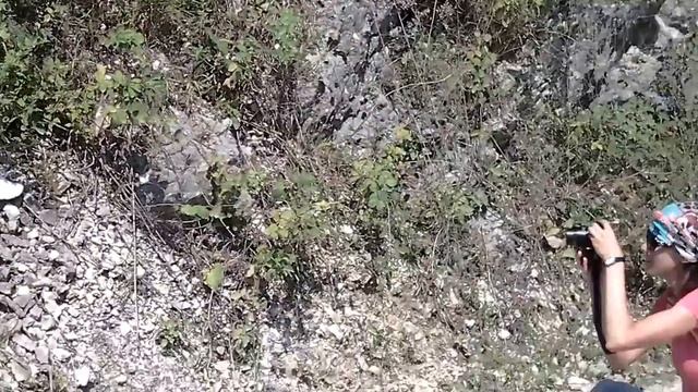 Экскурсия в Кодорское ущелье. Шакуранский водопад. 2015 г. Видео 100 смотреть онлайн