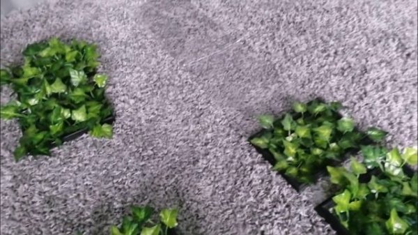 Мастер-класс Фитостена.mp4