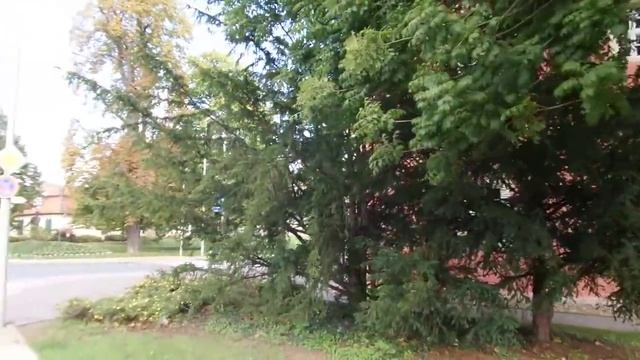 Library of Wolfenbüttel with Robert McConnel`s Scottish Cake смотреть онлайн