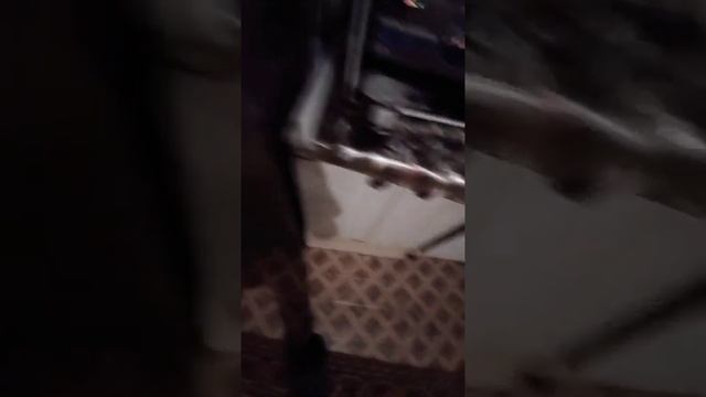 Пытаюсь положить вареные в холодильник под разную музыку. смотреть онлайн