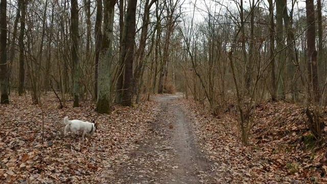 VLOG.ЗАПОЛНЕНИЕ НАЦИОНАЛЬНОЙ ВИЗЫ ПО КАРТЕ ПОЛЯКА.ДОКУМЕНТЫ ТРЕБУЕМЫЕ В ПОЛЬСКОМ КОНСУЛЬСТВЕ.ХАРЬКО смотреть онлайн