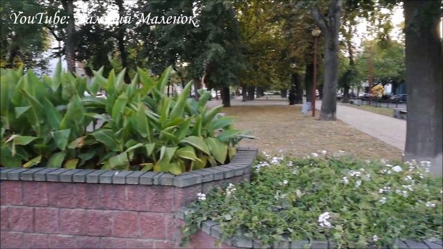 ПРОСТО ОСЕННИЙ ДЕНЬ! смотреть онлайн