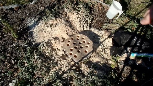 Удаление пня химическим способом смотреть онлайн