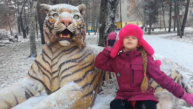 Кулиниченко Ярослава, МОУ СОШ №22, г.Комсомольск-на-Амуре смотреть онлайн