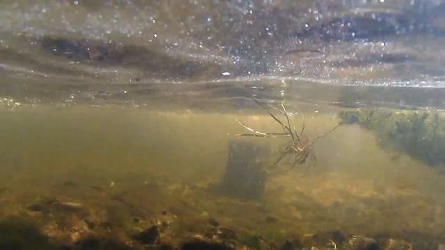 водяная мельница Красниково смотреть онлайн