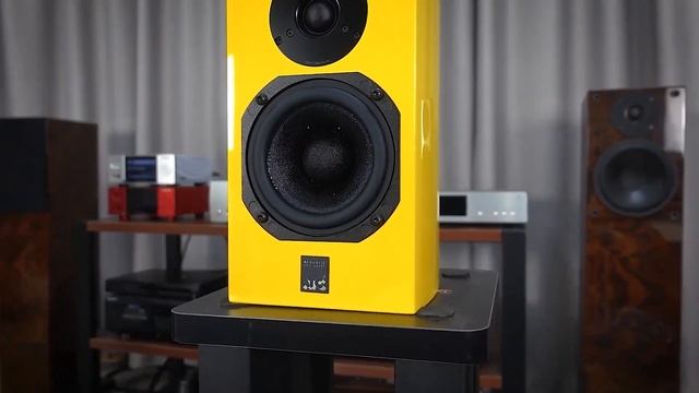 豁出去不过了，用29800元的SIA2-100合并式功放推15000元的ATC SCM7 piano限量版 смотреть онлайн