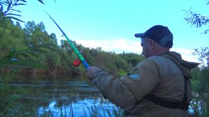 ДУБАСИТЬ ТАКИХ КАБАНЧИКОВ, ПРЯМ УХХХ!!! Рыбалка на карася летом