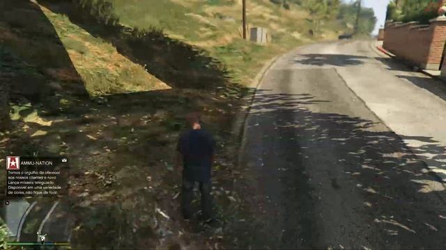 Gta V Bug Shadows amd DRIVER 22.5.2 Amd смотреть онлайн