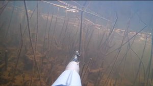 Подводна охота зимой.Тёплый канал.Февраль 2018.