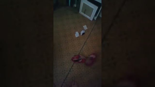 Хотел купить кость смотреть онлайн