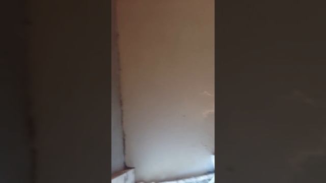 16 Залил пол в санузле самонивелирующейся смесью смотреть онлайн