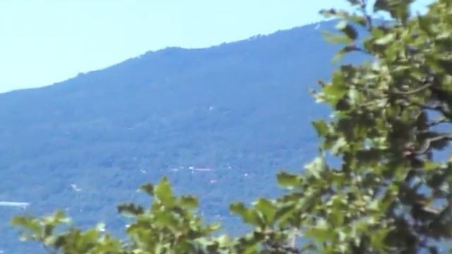 Ботанический сад Вид на море и горы смотреть онлайн