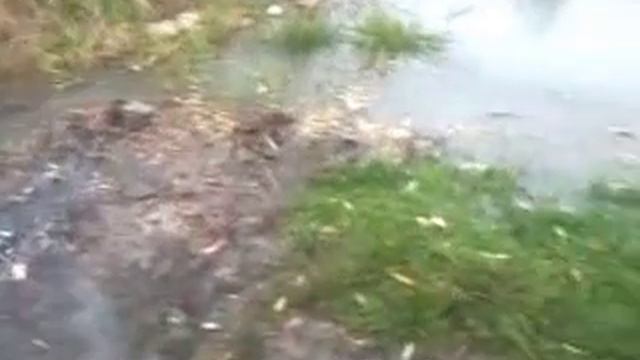Краснодарский край п.ачуево р.протока смотреть онлайн