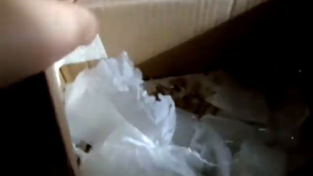Обзор/Корма и принадлежности хомяка/не закончила /#маня смотреть онлайн