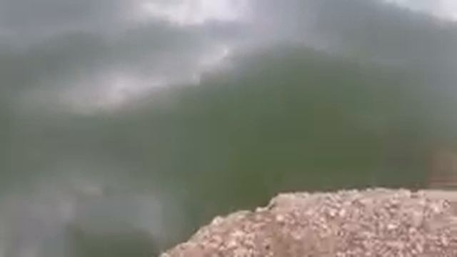 #1 Тайное озеро. Рыбалка. Приключения... смотреть онлайн