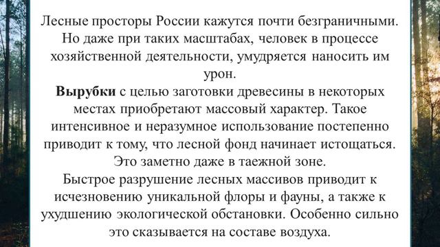 Леса зеленый каркас планеты смотреть онлайн