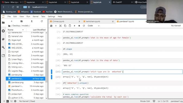 From Pandas to PandasAi смотреть онлайн
