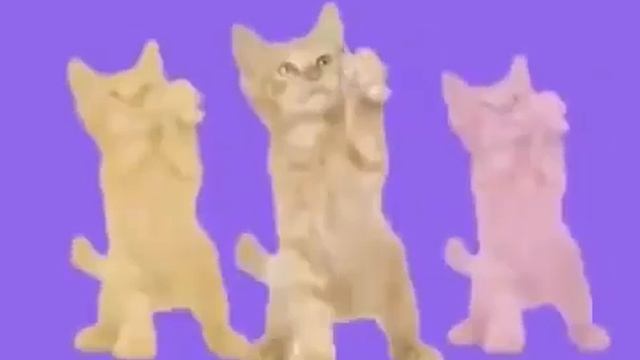 Pump it up kitty (full version) смотреть онлайн