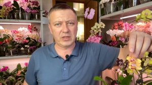 расстаюсь с орхидеями / опрыскивание цветущих орхидей БАТРАЙДЕРОМ / новый уровень для ОРХОНУТЫХ