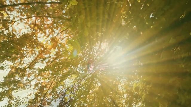 Вы будете шокированы, когда узнаете это смотреть онлайн