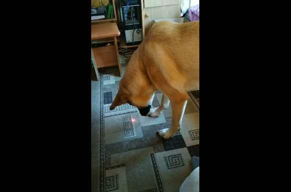 Да что же такое? смотреть онлайн