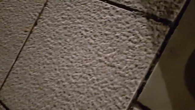 Хорватия Морской Орган? смотреть онлайн