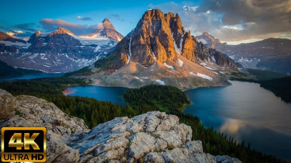 4K HDR 60fps Dolby Vision | World of Animals