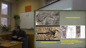 444-419 Палеозой_Силур_ Александр Ипатов