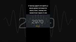 Частота звука от 1 до 5000 Герц. Звук для телефона. #смешно #топ #жиза #смех #смешноевидео #мем