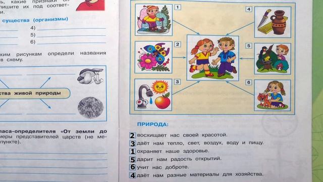 Окружающий мир. Рабочая тетрадь 3 класс 1 часть. ГДЗ стр. 7 №6 смотреть онлайн