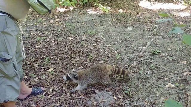 Пешком по берегу. Прасковеевка - Криница через Красную щель смотреть онлайн