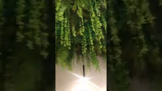 Как озеленить потолок искусственными растениями? ME DECOR расскажет! смотреть онлайн