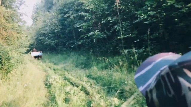 ЕДВА ВЫЕХАЛИ ИЗ ГЛУШИ НА КВАДРОЦИКЛЕ И МУРАВЬЕ - 10 часть смотреть онлайн
