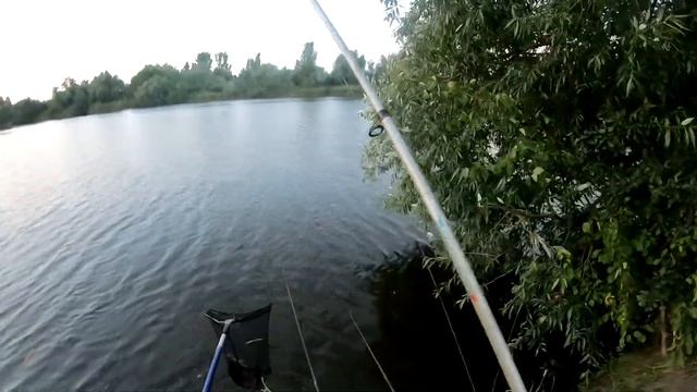 В тихаря на платнике наловил сазанов в Международный день рыбной ловли смотреть онлайн