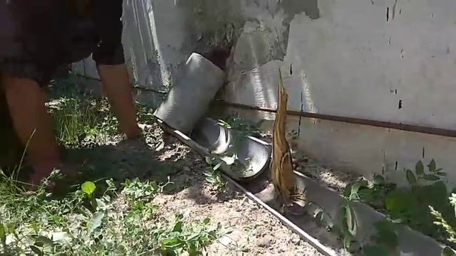 Б.Хутор На заводе нашли птенца предположительно Выпь
Вымирающий вид в красной книге смотреть онлайн