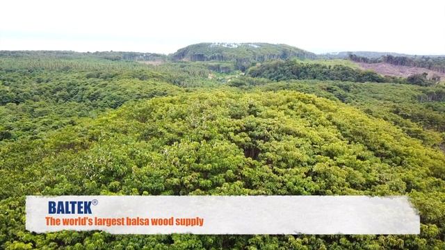 3A Composites Core Materials BALTEK® Balsa wood operation in Papua New Guinea смотреть онлайн