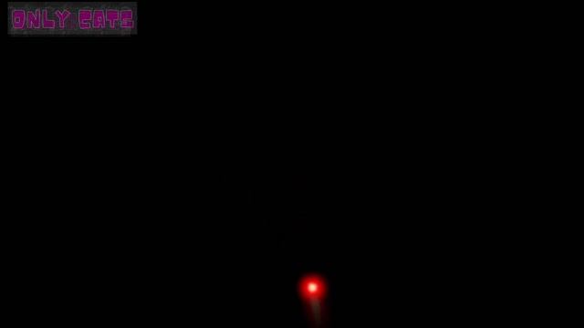 GAME FOR CATS! laser on screen. смотреть онлайн