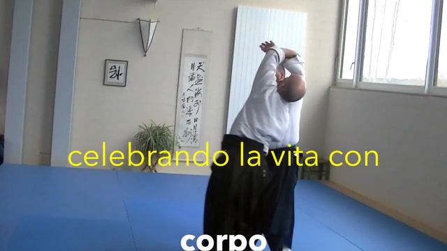 Aiki Nomad Seminar - Uster 2015 (Ita) смотреть онлайн