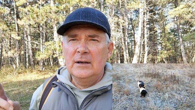 Кисловодск. Живут ли волки на Бирючьей горке (45-я прогулка) смотреть онлайн