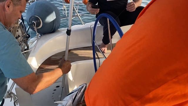 Морская рыбалка в Израиле. Случайная встреча с тунцом, нам повезло! смотреть онлайн