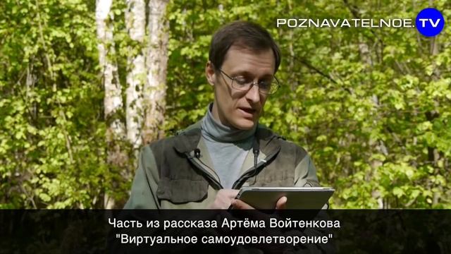 Высказывания: Успешные сказки для лодырей (Познавательное ТВ, Артём Войтенков) смотреть онлайн